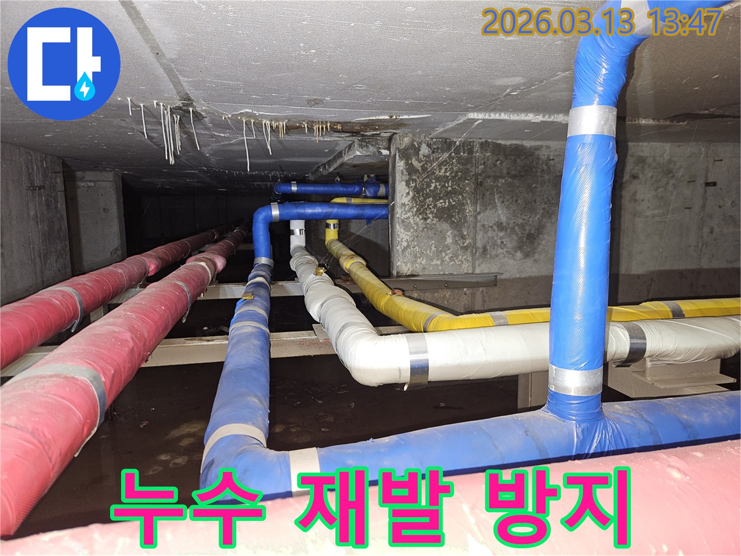 천장-아래-복잡하게-연결된-배관들에서-발생한-누수를-탐지하고-재발을-방지하기-위한-보수-작업을-진행하는-전문가의-모습