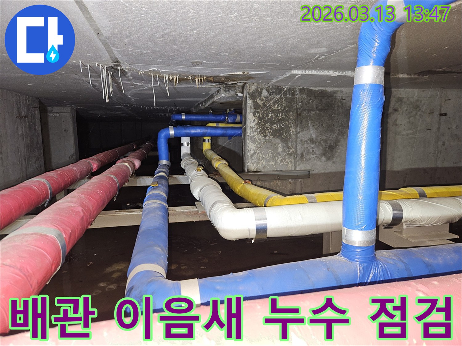 천장-아래-복잡한-배관들의-이음새-부분에서-누수가-의심되어-정밀하게-점검하는-전문가의-모습