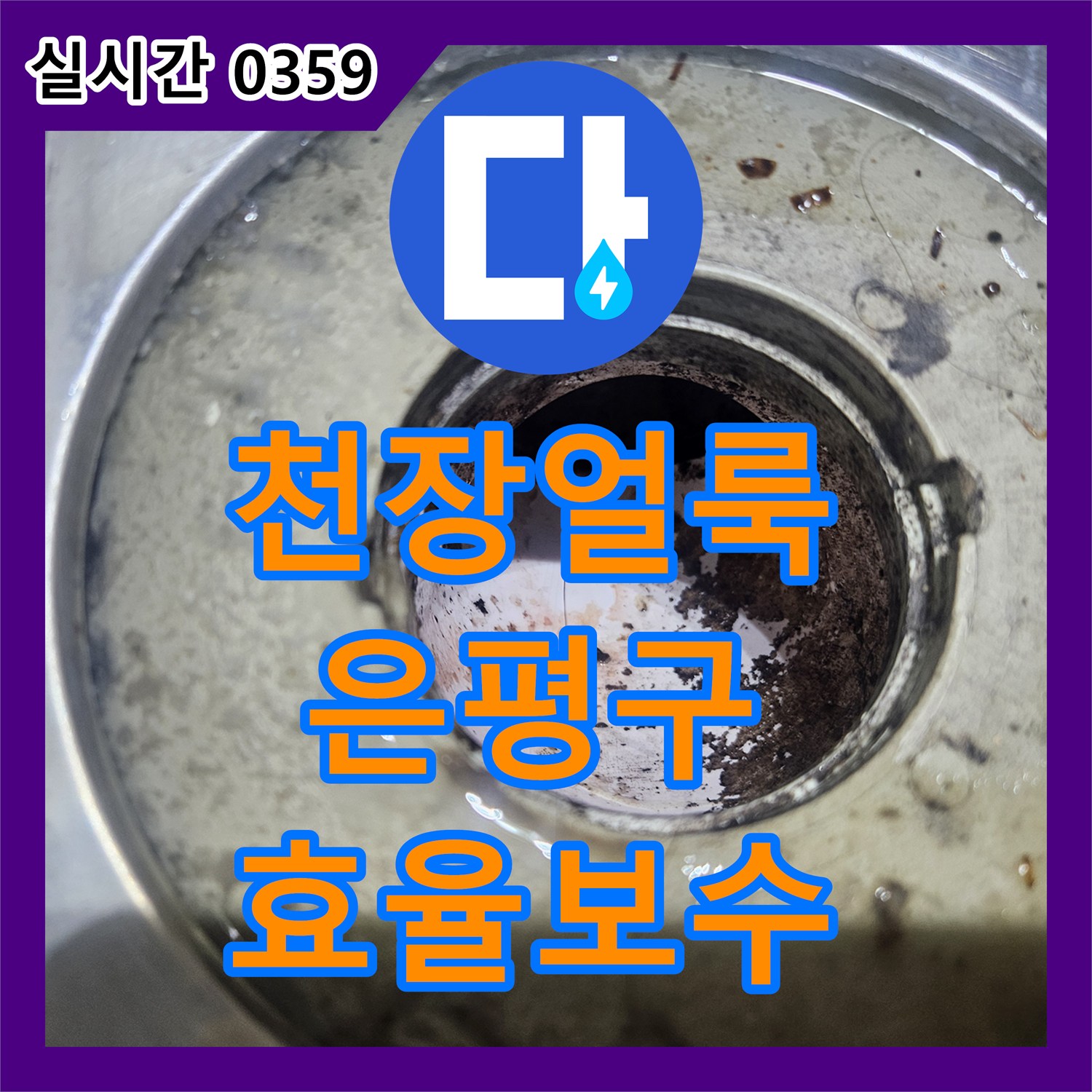 누수탐지업체, 천장 얼룩과 곰팡이로 인한 윗층 수도관 누수 문제를 효율적으로 보수하는 과정, 서울 은평구