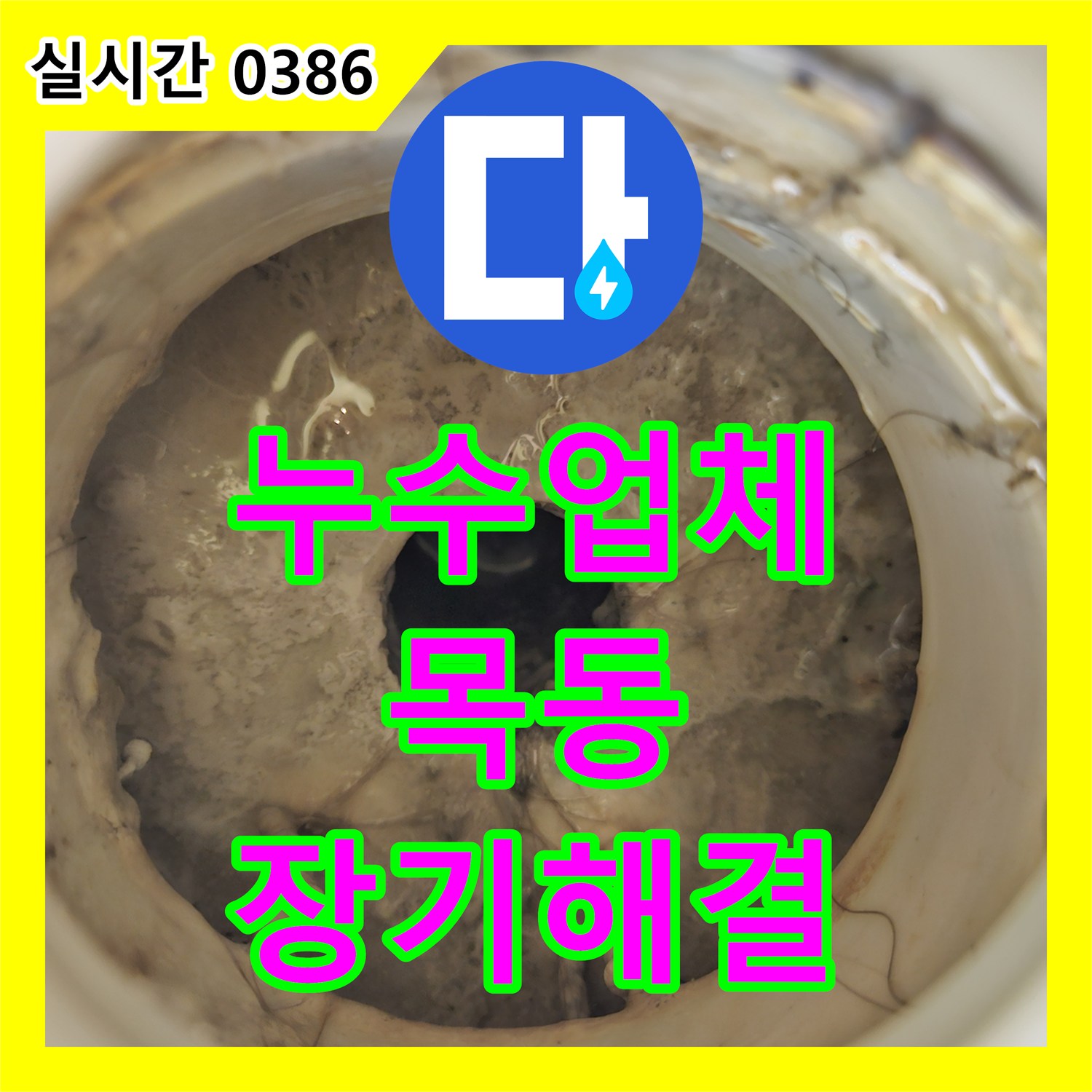 누수설비업체 콘크리트 천장 및 벽면 누수, 장기간 방치된 문제를 첨단 장비로 해결하는 공사 서울 양천구 목동