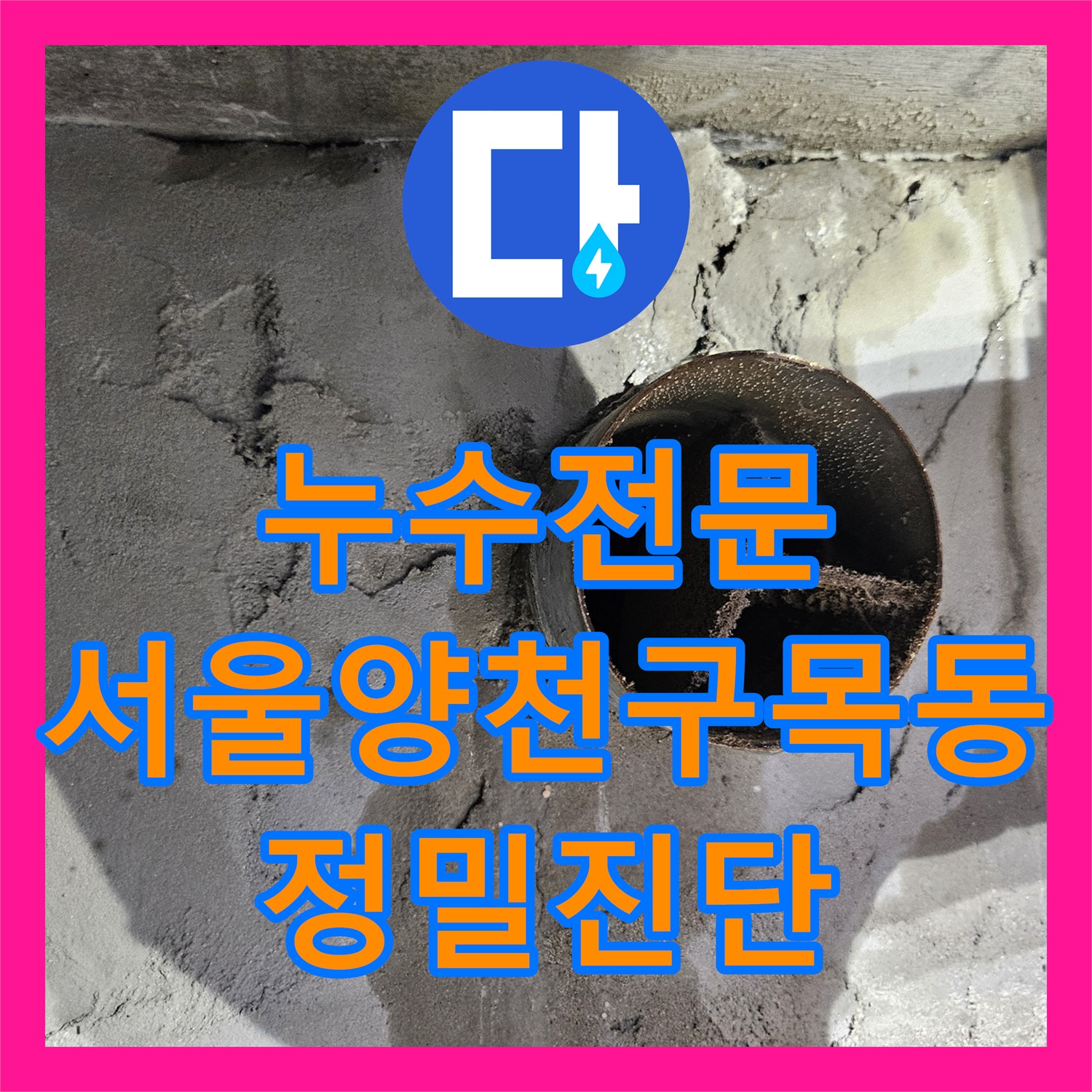누수전문 화장실 천장 백화 현상과 배관 누수를 정밀하게 진단한 서울 양천구 목동