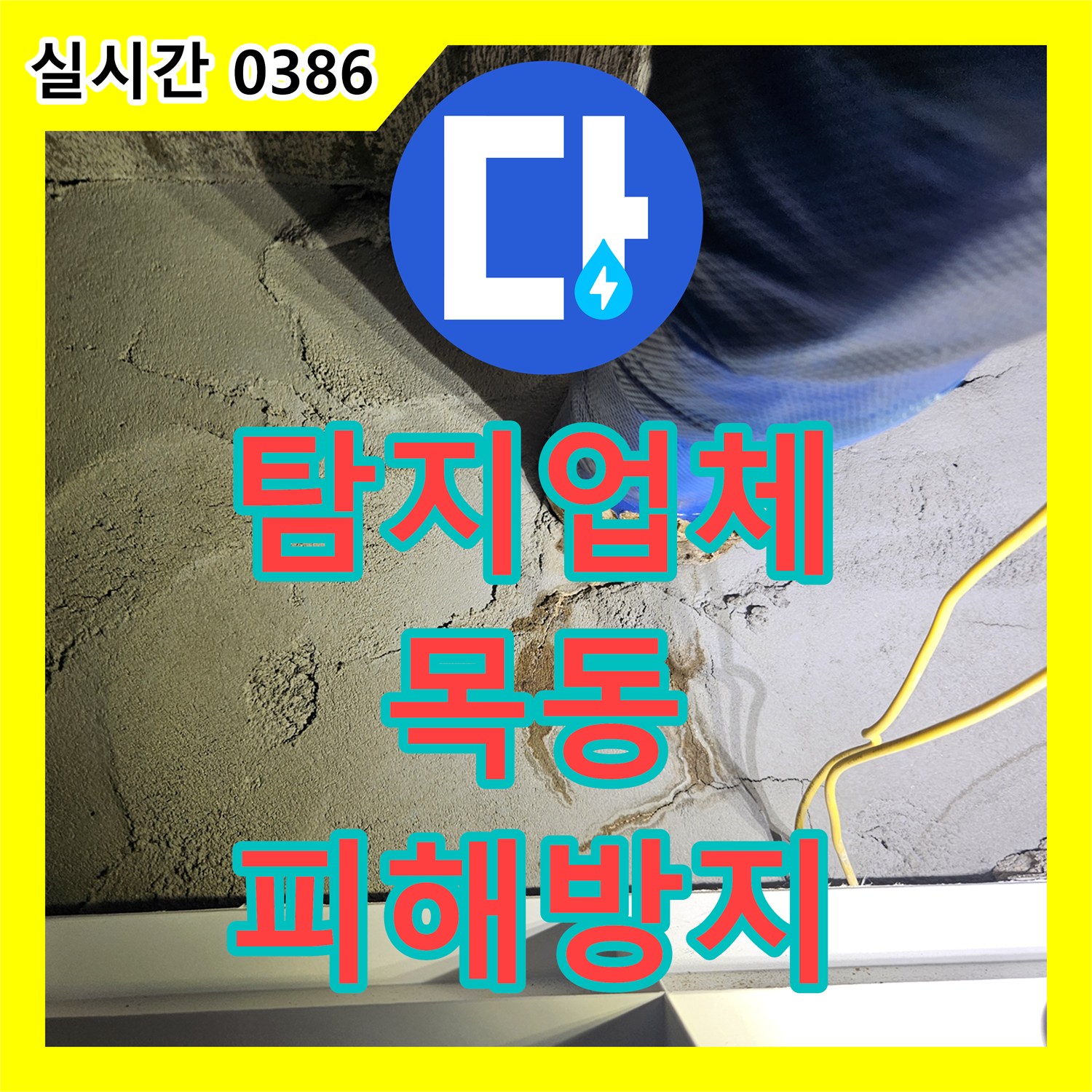 누수탐지업체 콘크리트 천장 누수, 물 고임으로 인한 2차 피해를 신속하게 방지하는 공사 서울 양천구 목동