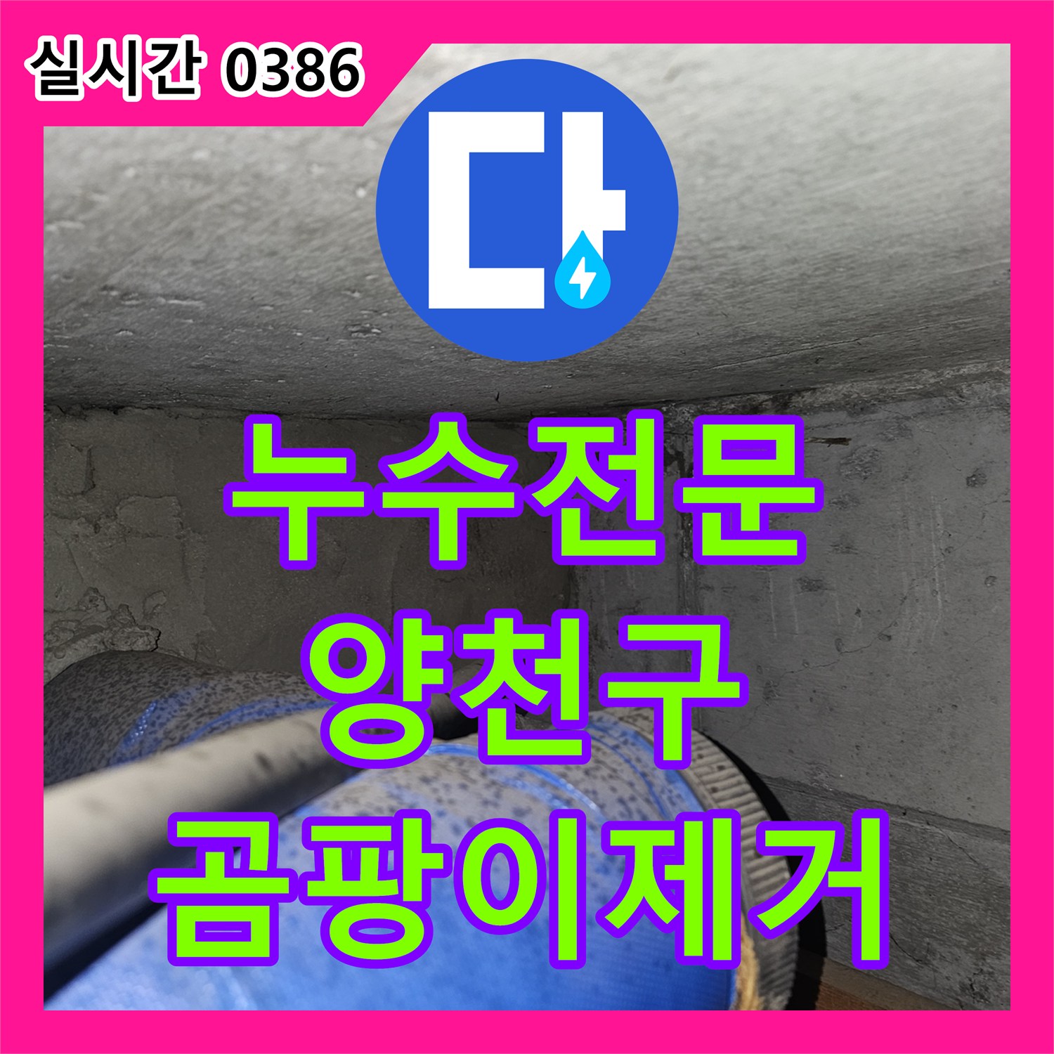 누수탐지전문 배관 주변 곰팡이 발생, 누수 지점을 찾아 곰팡이 제거까지 책임지는 공사 서울 양천구