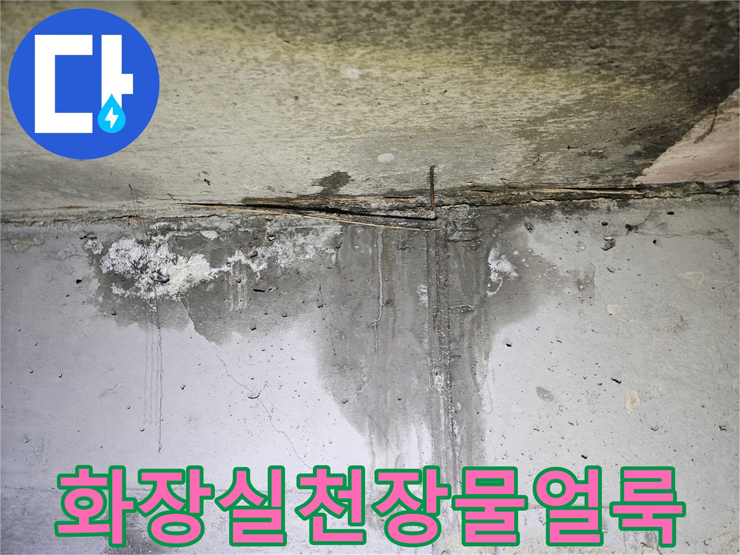 양천구-화장실-천장-슬래브-부위의-심한-물얼룩과-습기 상태