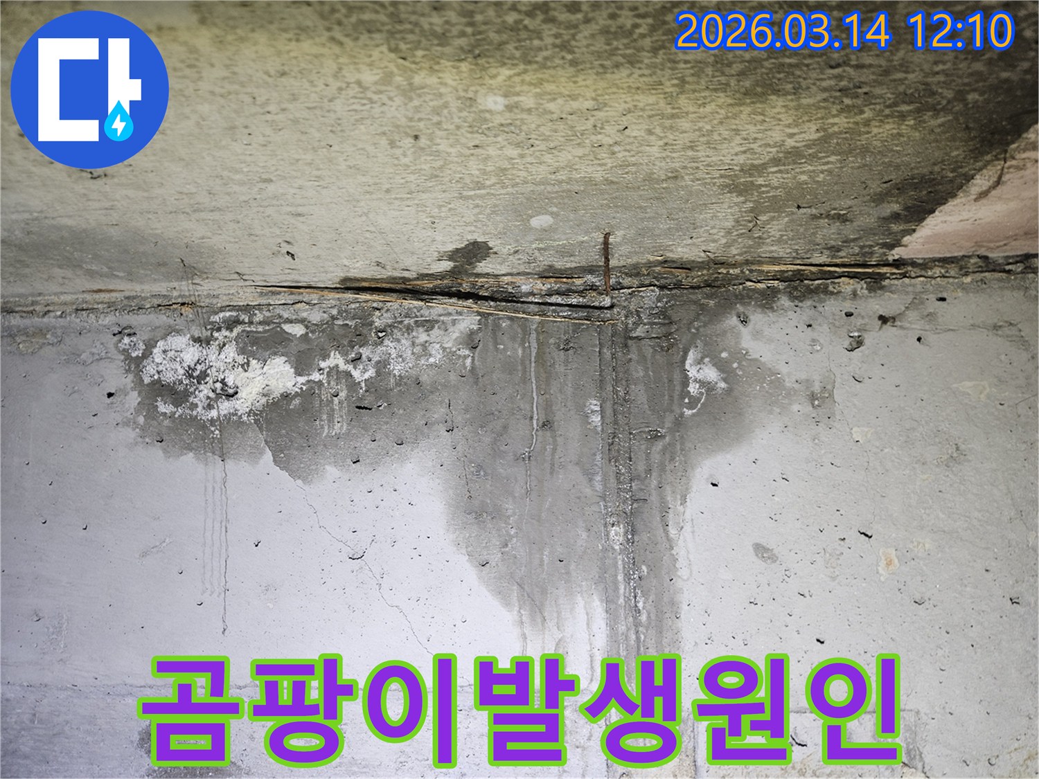 콘크리트-벽면에-물이-흐른-흔적과-습기로-인해-곰팡이가-발생하기-쉬운-환경을-보여주는-누수-현장