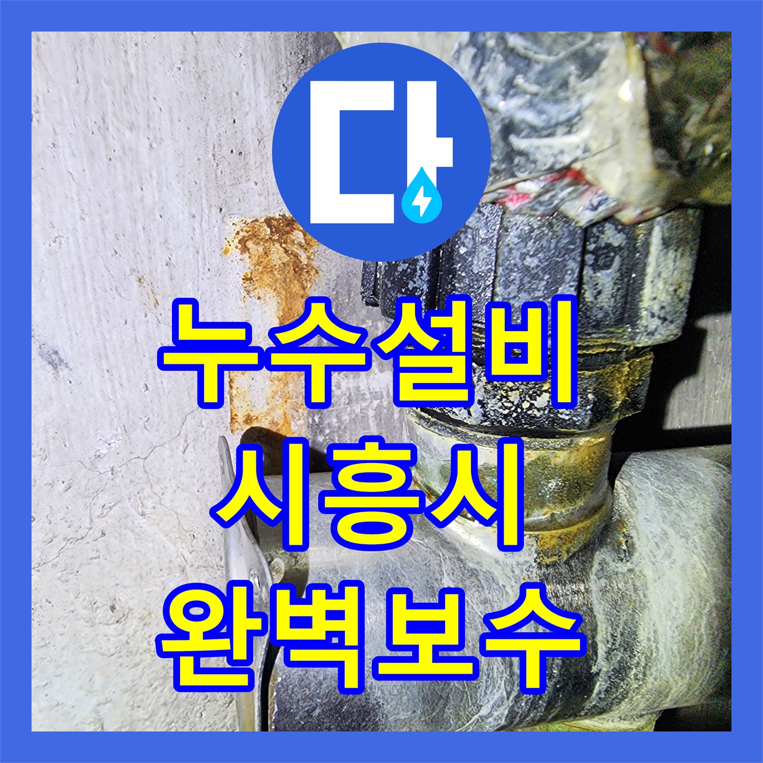 누수설비 보일러 하단 배관 누수가 아래층까지 이어진 현장 조치 시흥시