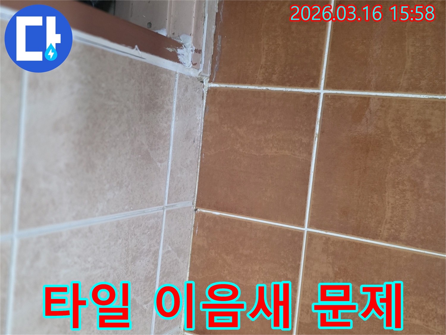 욕실 방수층이 약해지기 쉬운-샤워부스 프레임 주변의 상태를 점검하고 있습니다.