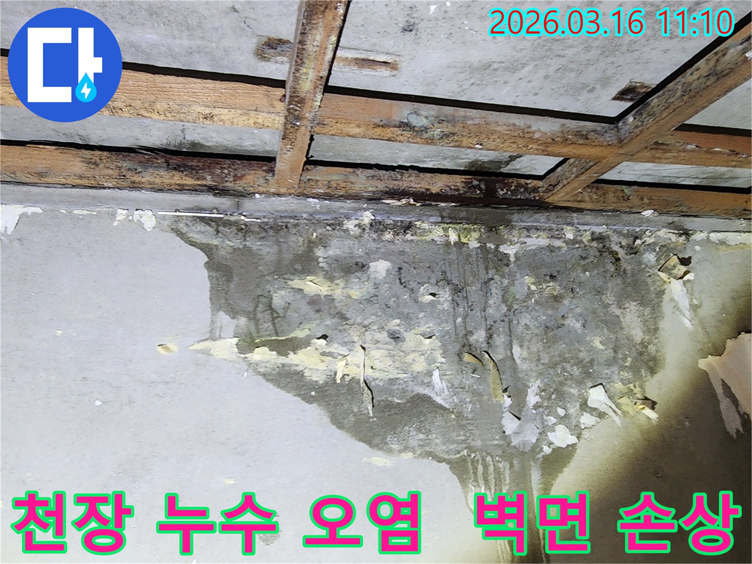 천장과 벽면이 물에 젖어 심하게 오염되고-마감재가 손상된 누수 현장