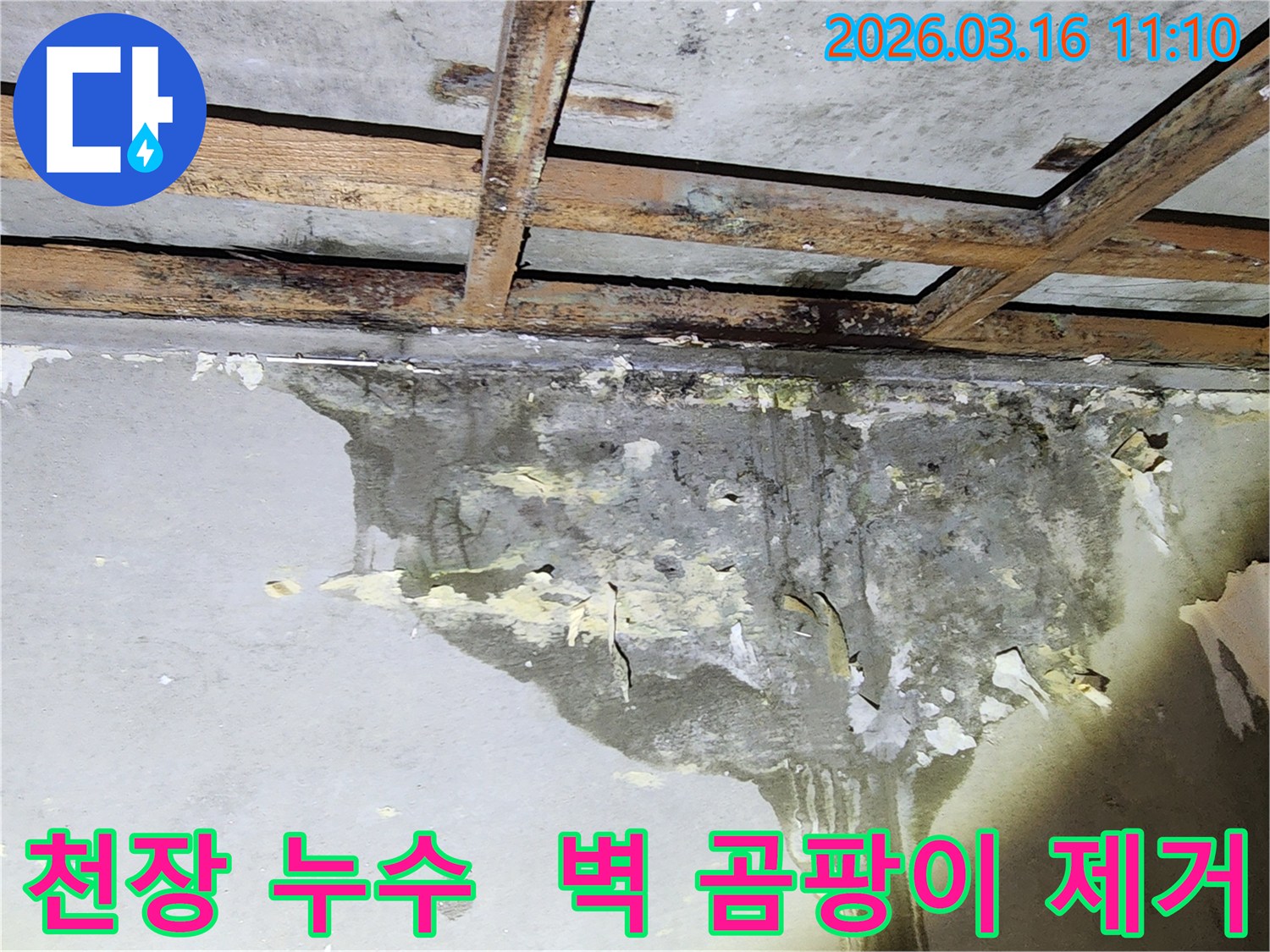 천장에서 시작된 누수로 벽면이 젖고-곰팡이가 심하게 번식한 주택 내부