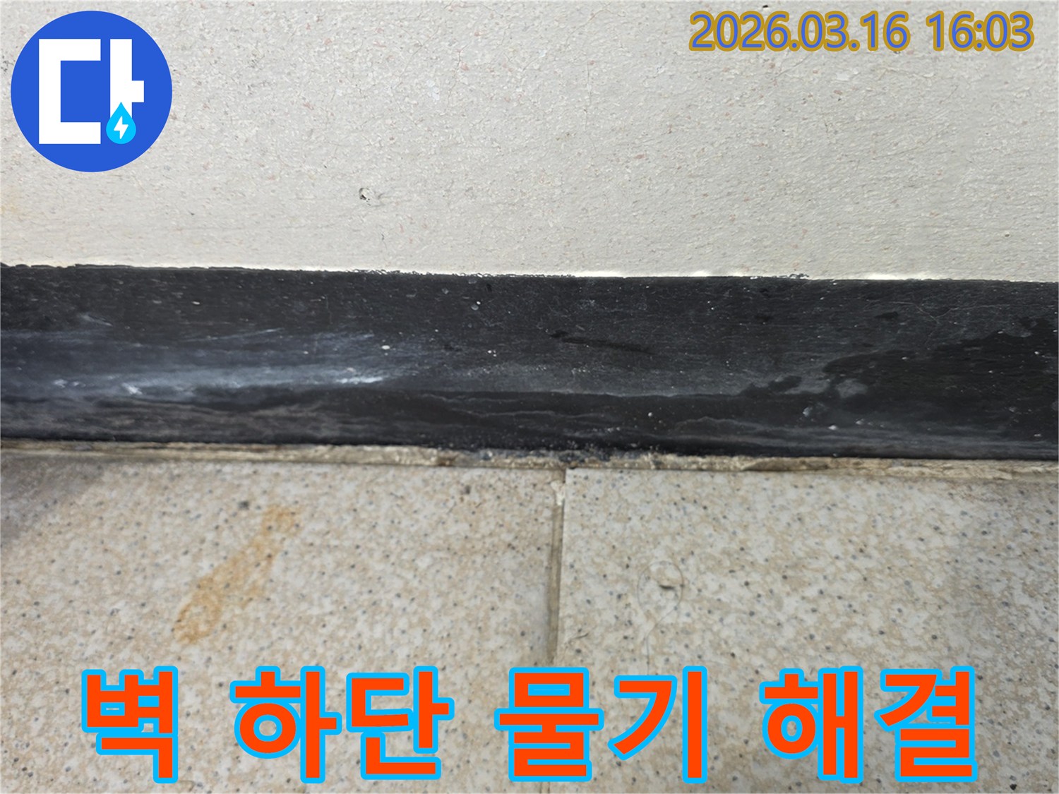 벽 하단부 걸레받이와 타일 경계에서 물기가 감지되어 누수 탐지가 필요합니다