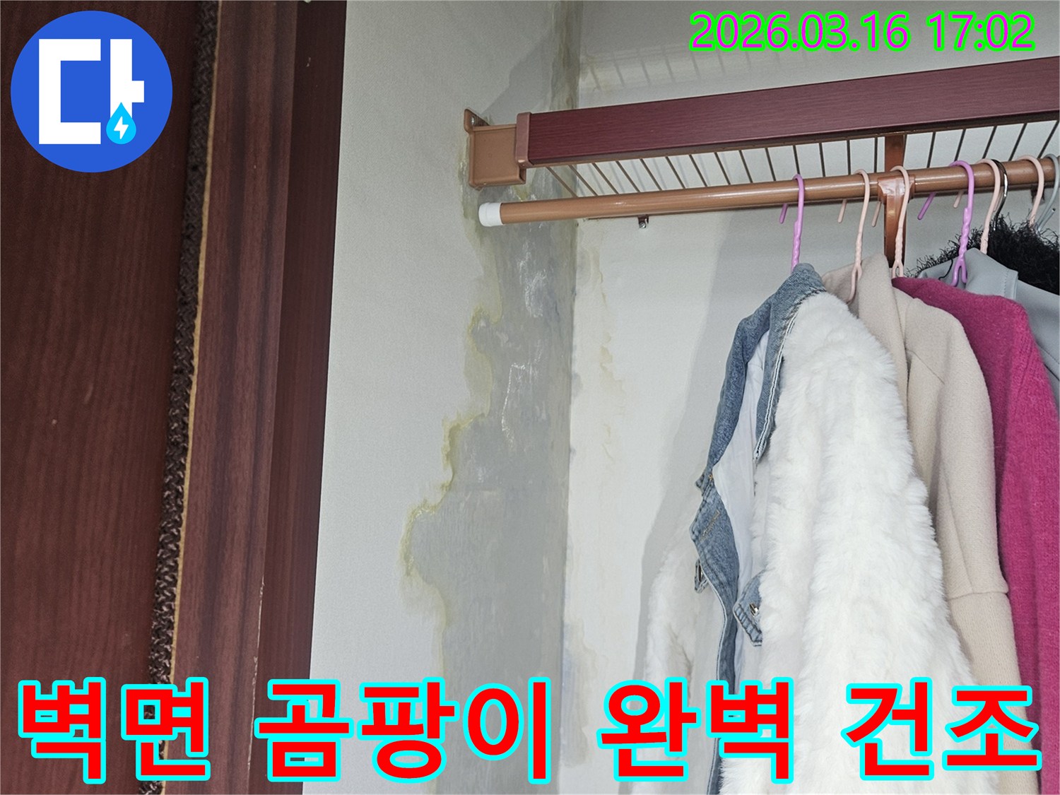 누수로 인해 옷장 벽면과 바닥에 물기가 스며들고-누런 얼룩과 곰팡이가 넓게 퍼져 있는 모습