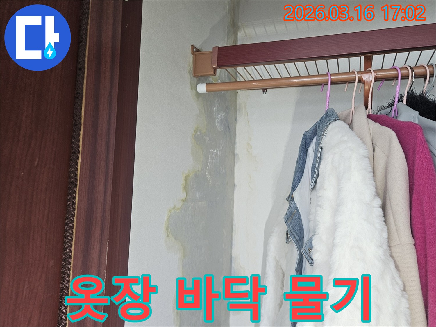옷장 내부 바닥에-누수로 인한-물기가 고여있고-벽면 하단부가-젖어있는 모습