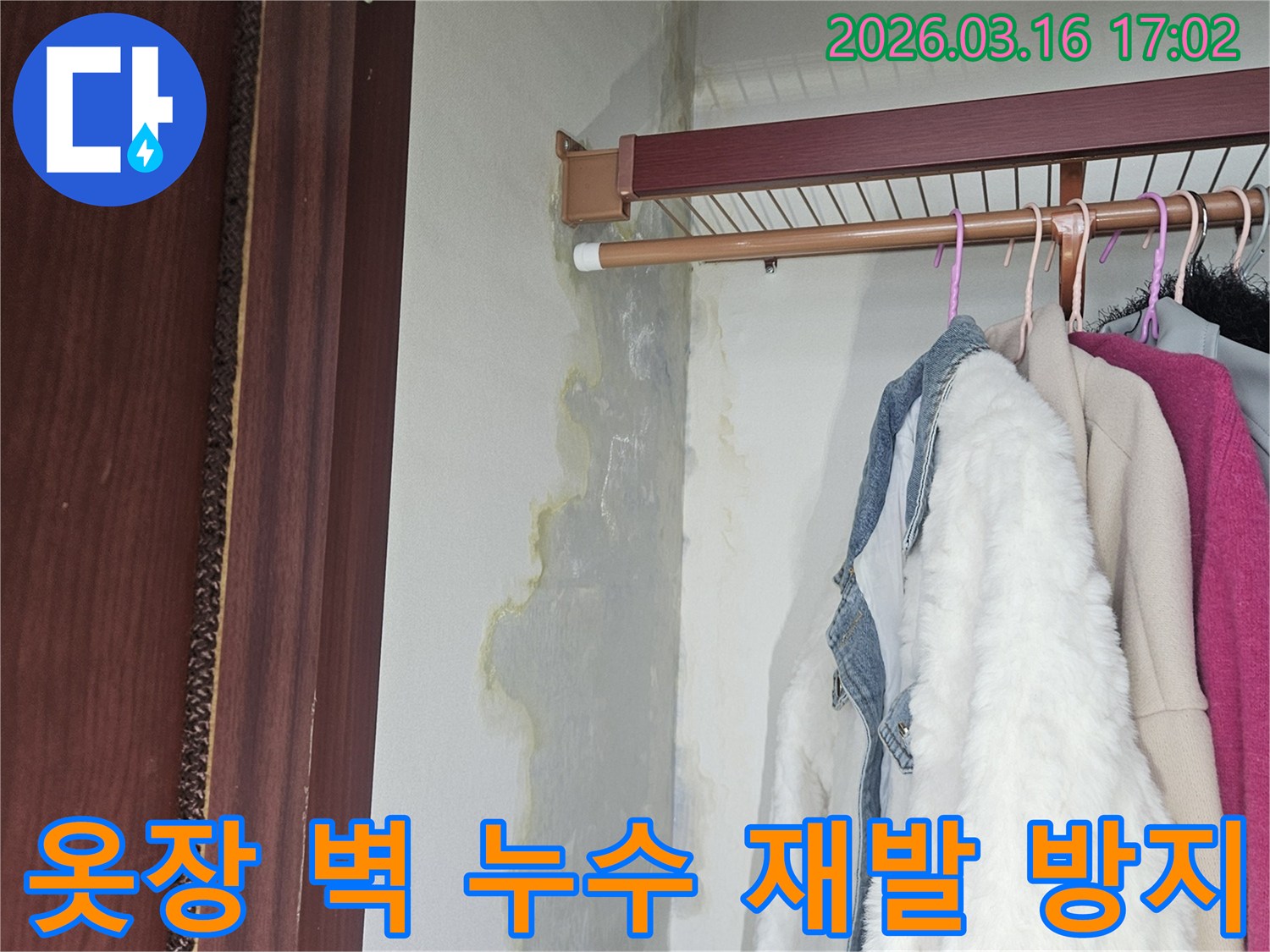 옷장 벽면 하단과 바닥에 누수로 인해 물이 스며들고-얼룩과 곰팡이가 생긴 현장 사진