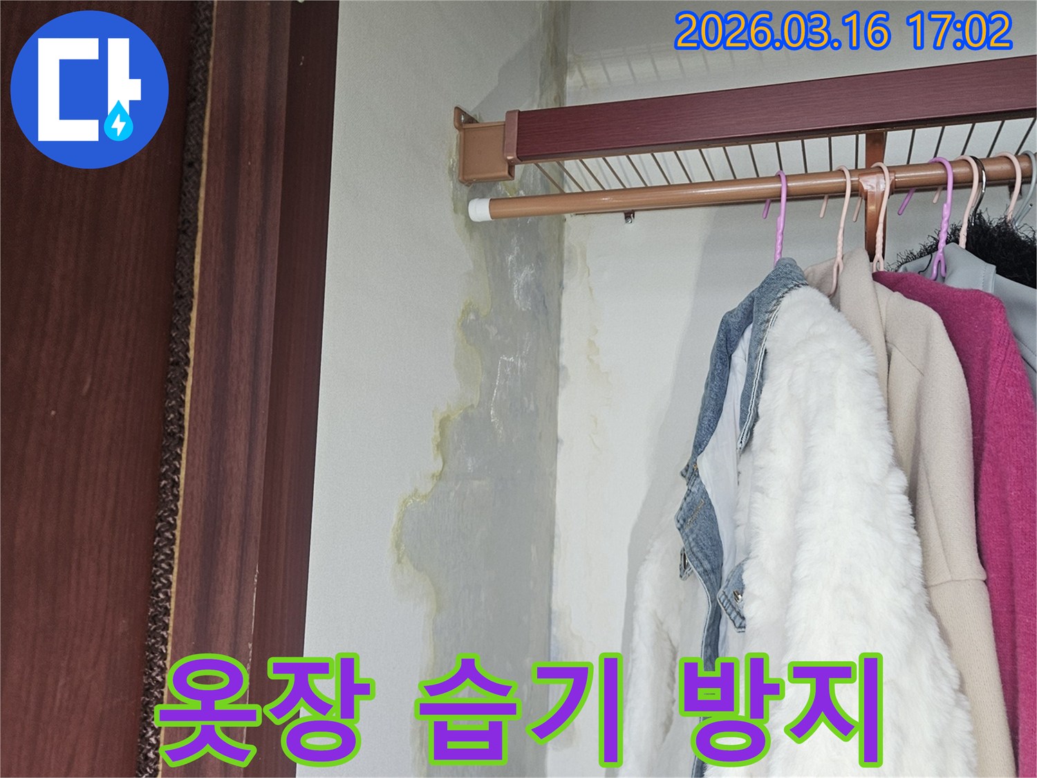 옷장 안쪽 벽면과 바닥에 누수로 인해 생긴 젖은 흔적과-누렇게 변색된 곰팡이 얼룩이 선명하게 보이는 모습