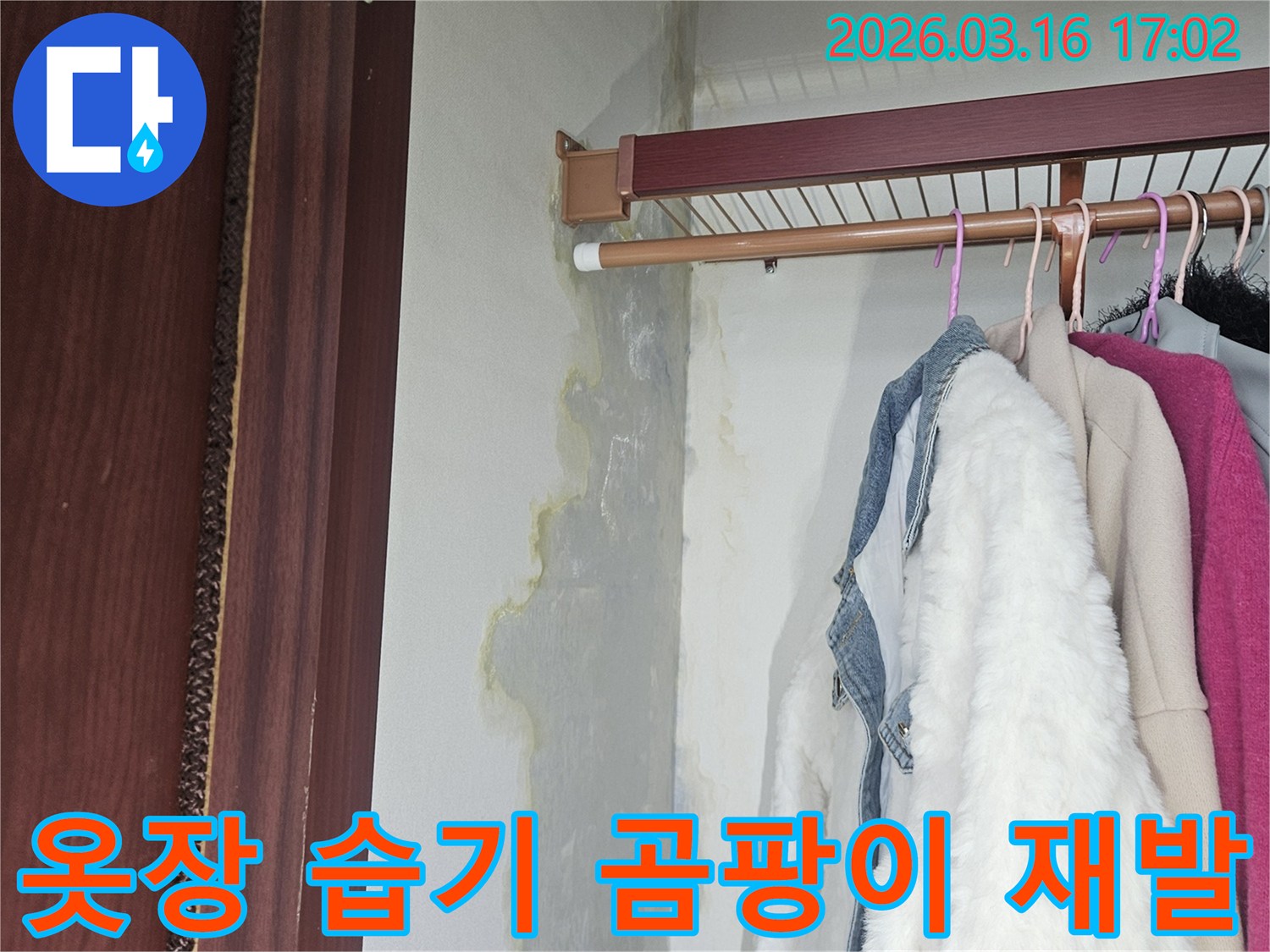 옷장 안쪽 벽면과 바닥에 누수로 인해 생긴 젖은 흔적과-누렇게 변색된 곰팡이 얼룩이 선명하게 보이는 모습