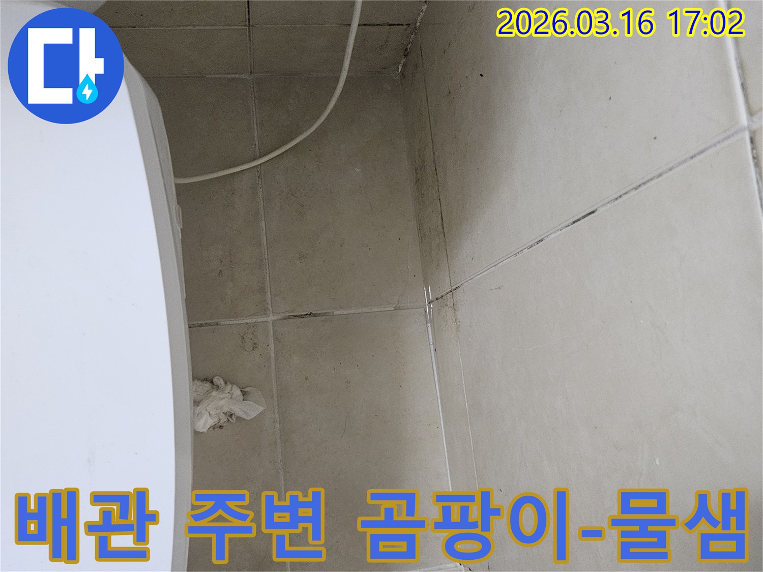 천장과 벽면 모서리를 따라 지나가는 배관 주변에 검은 곰팡이와 물자국이 심하게 보이며-이는 배관 누수를 강력히 시사합니다