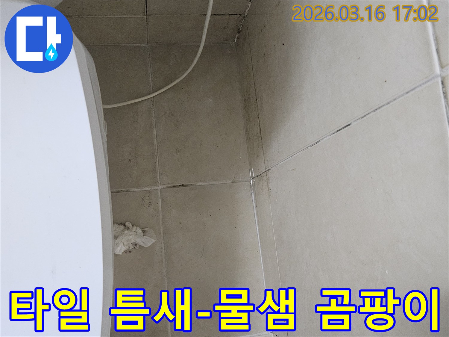 천장과 벽면 타일 사이의 줄눈에 검은 곰팡이가 심하게 번져있으며-이는 타일 틈새로 물이 스며들어 발생한 누수 현상으로 보입니다