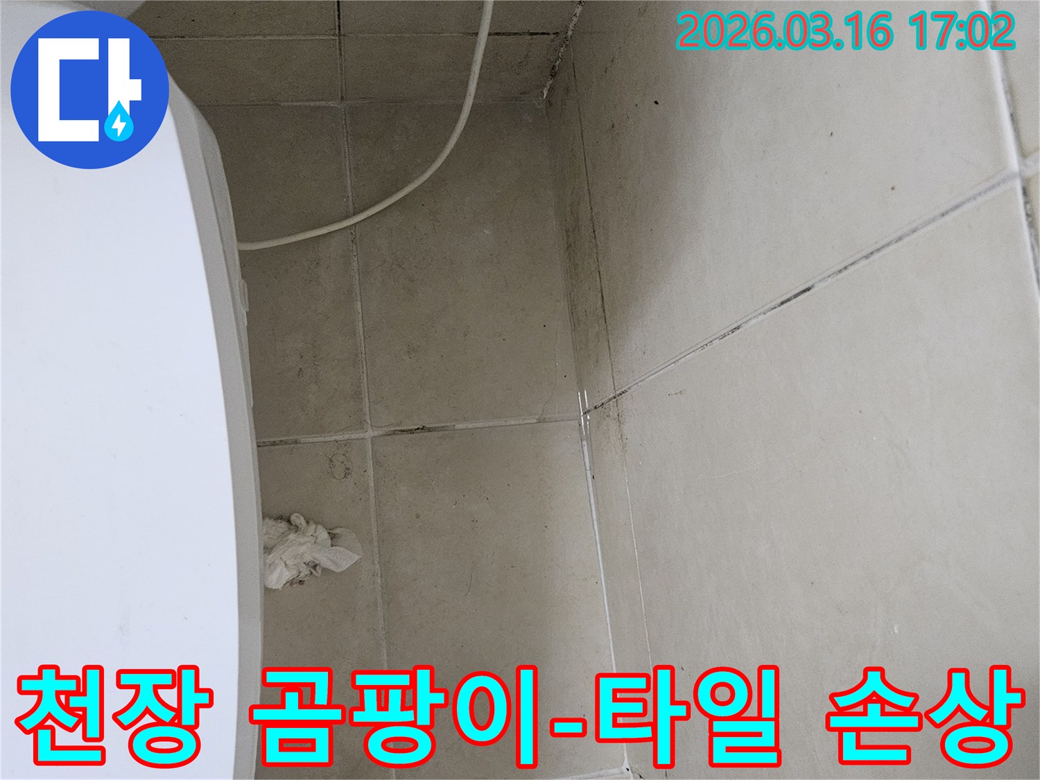 천장과 벽면 타일에 심하게 번진 검은 곰팡이와-타일 손상 및 물자국이 명확하게 보이는 누수 현장입니다