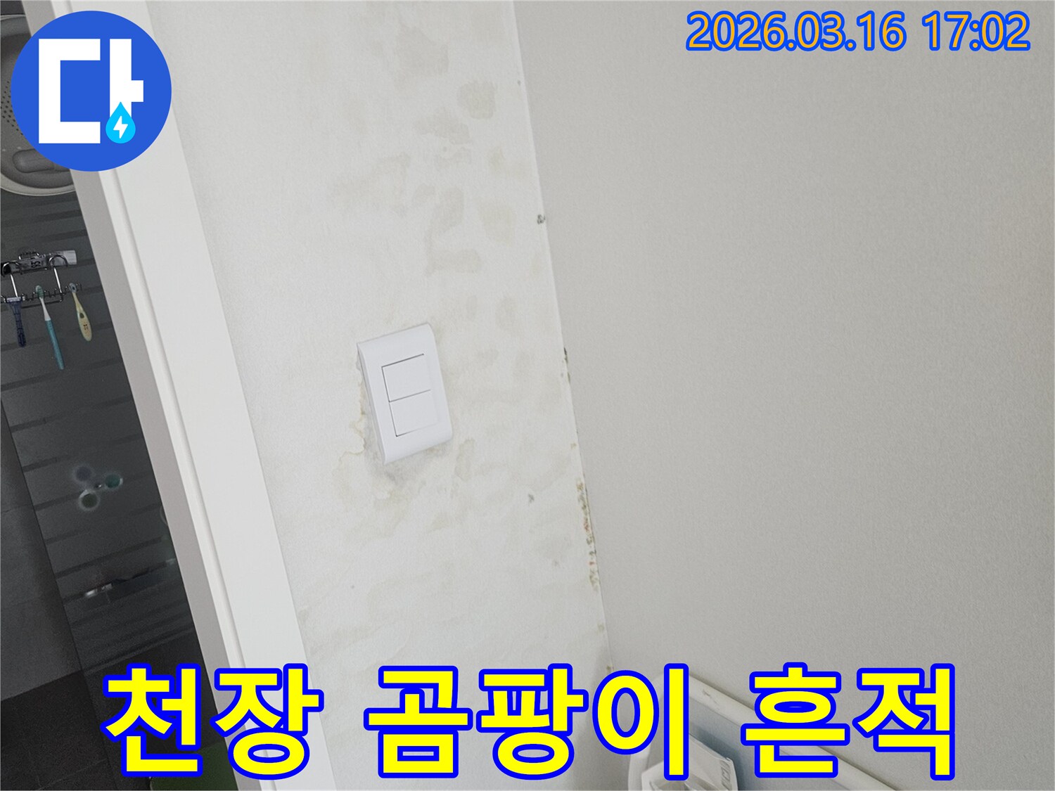 천장과 벽면에 물이 새어 발생한 얼룩과 함께-곰팡이가 시작되고 있는 위생적 문제가 있는 현장