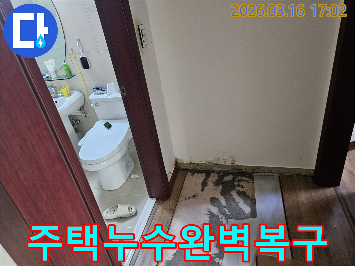 화성 병점구 주택-욕실 누수 피해로-바닥과 벽면에-습기와 곰팡이가-번진-상황을-기록한 이미지