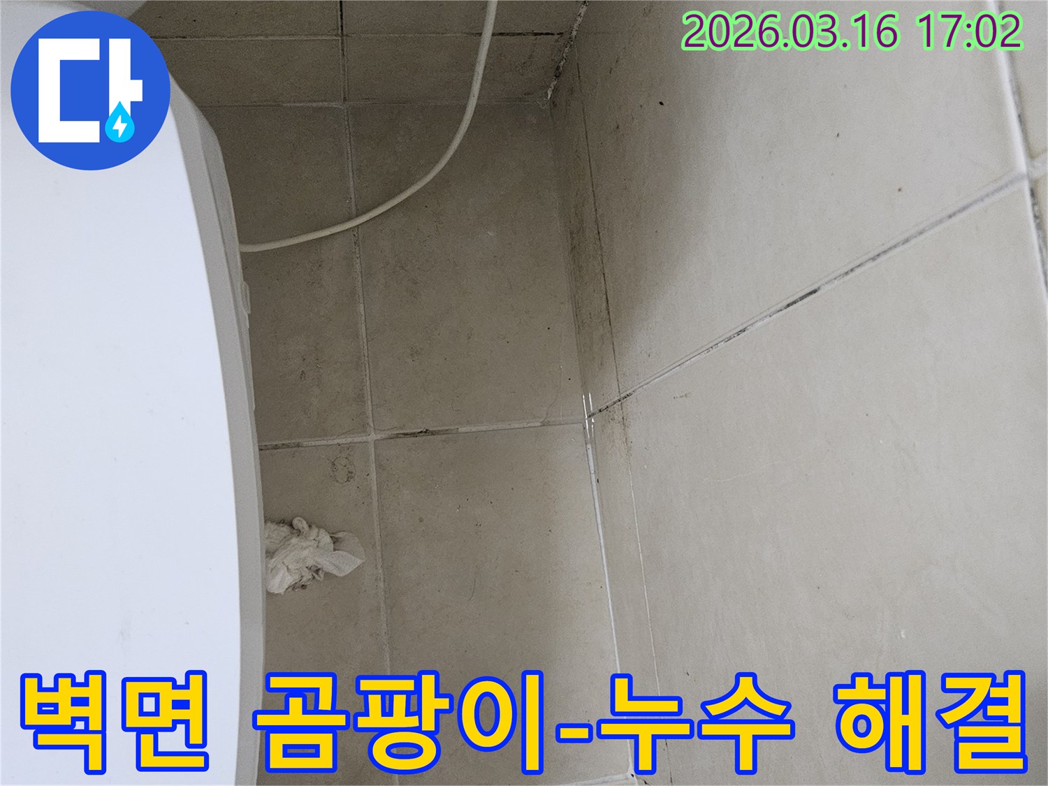 화장실 벽면 타일과 천장 모서리에 검은 곰팡이가 심하게 번져있는 모습입니다-이는 누수로 인한 습기 축적의 결과입니다