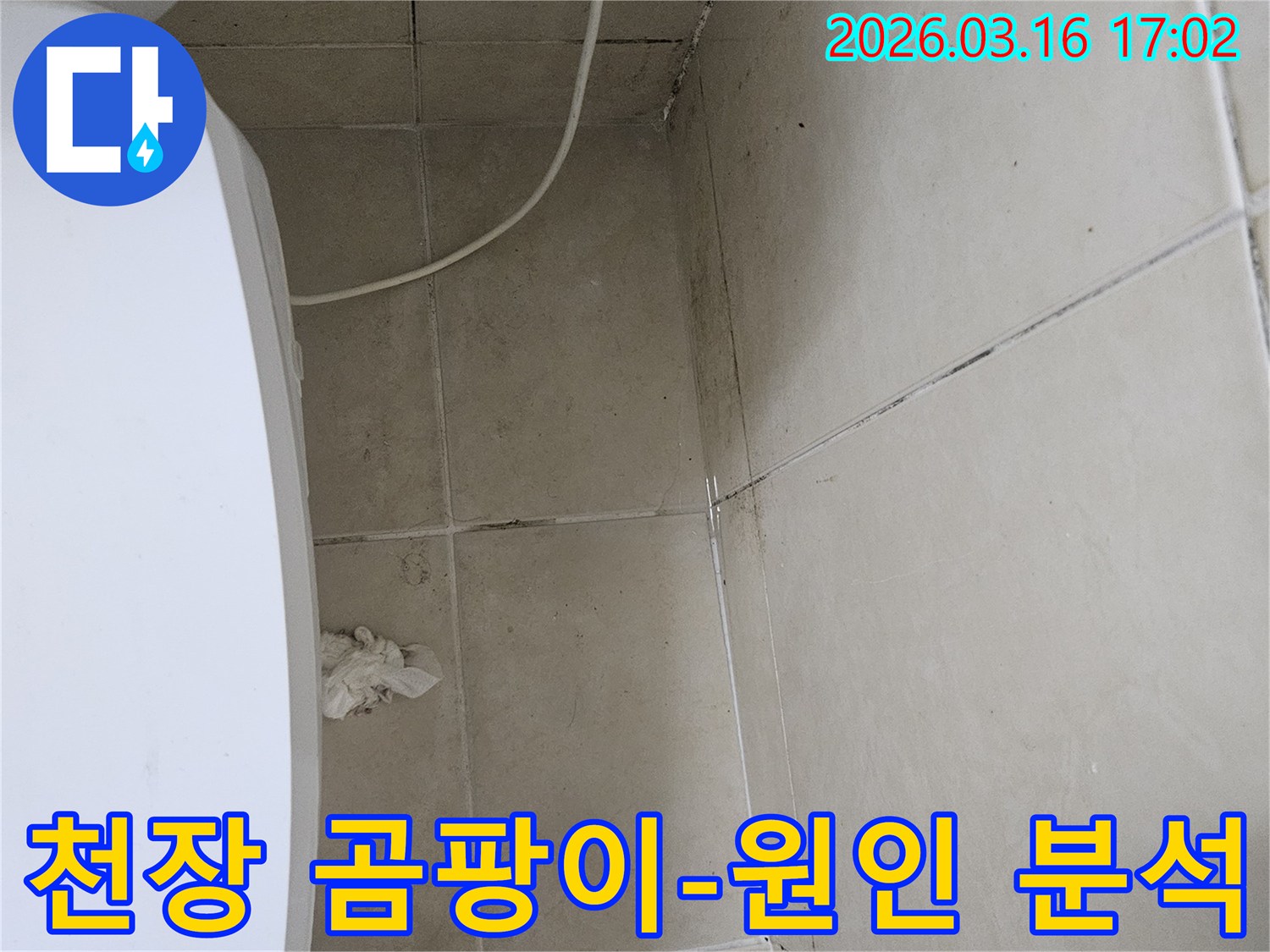 화장실 천장과 벽면 타일에 검은 곰팡이가 넓게 퍼져있으며-이는 누수로 인한 습기 축적의 명확한 증거입니다