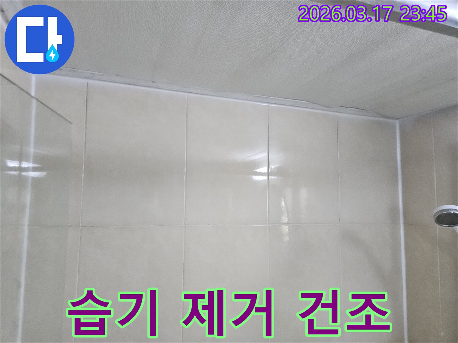 누수-엔지니어가-천장과-타일-벽면의-경계면에서-습기를-제거하고-건조하는-모습입니다