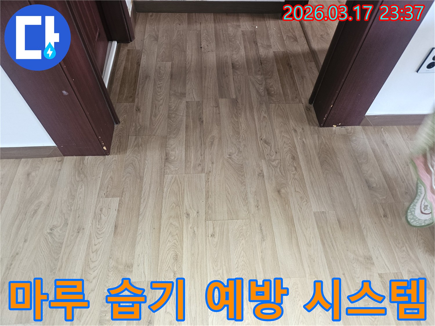 누수로 인한 바닥 마루의-습기 정도를 정확히 측정하고-분석하기 위한-전문 장비 사용 전 사진입니다.