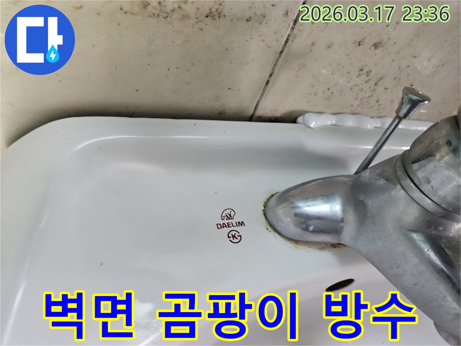 대림 세면대 뒤편 벽에- 심각하게 번식한 곰팡이와- 수도꼭지 주변의- 누수 흔적을 보여주는 사진입니다