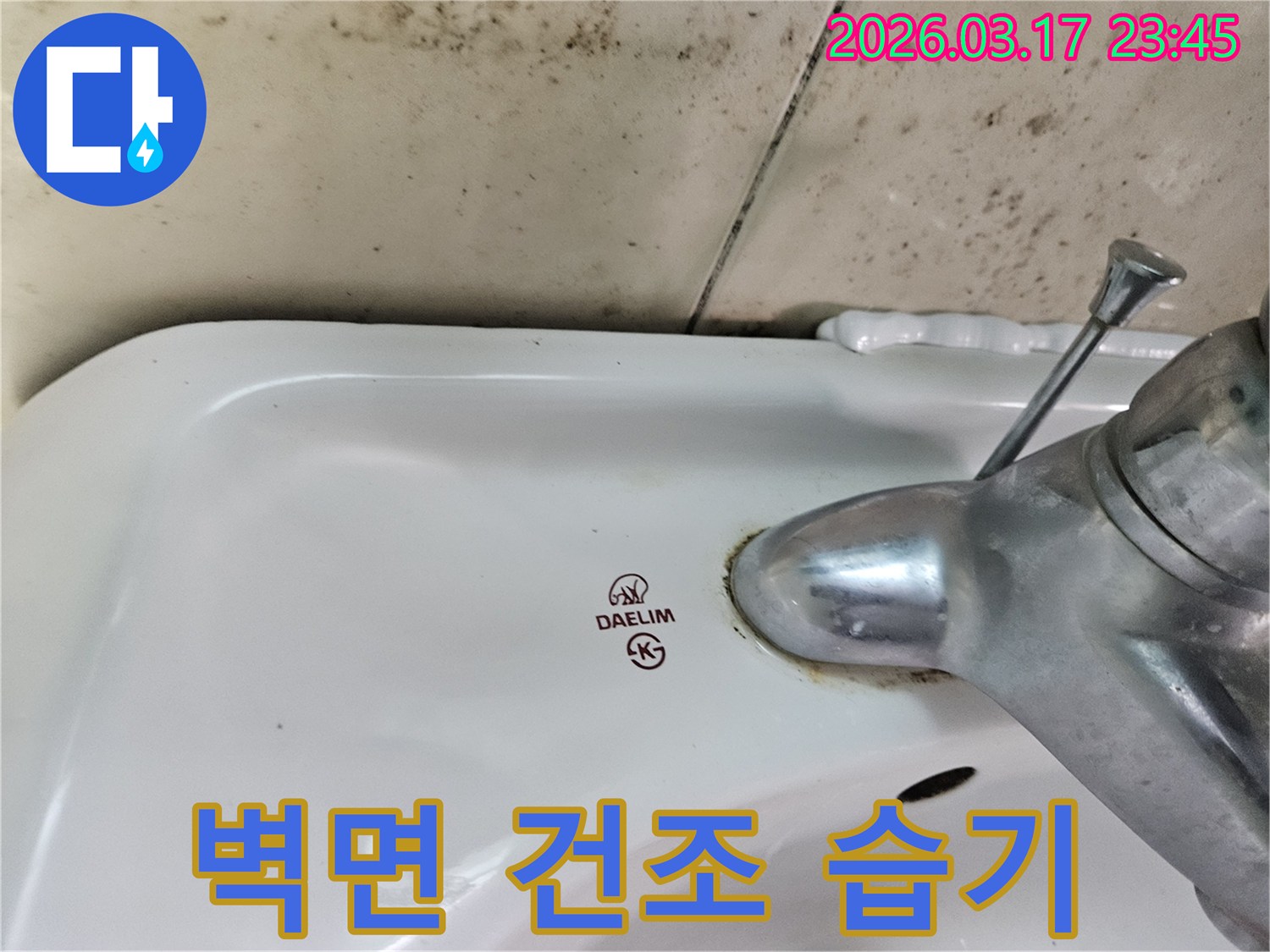 대림 세면대 수도꼭지 주변의 물때와-벽면에 넓게 번진 검은 곰팡이가-누수 후 벽면 건조 및 습기 제거와 재발 방지가 필요한 현장을 보여줍니다.