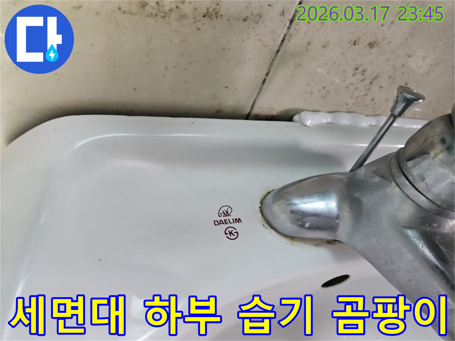 대림 세면대 수도꼭지 주변의 물때와-벽면에 넓게 퍼진 곰팡이가 욕실 누수 문제를 나타내는 사진입니다.