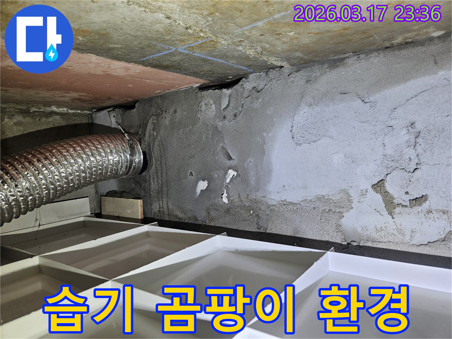 물에 젖어 습한 환경이 된-누수 현장에서-곰팡이 예방 및 건강한 실내 환경 조성