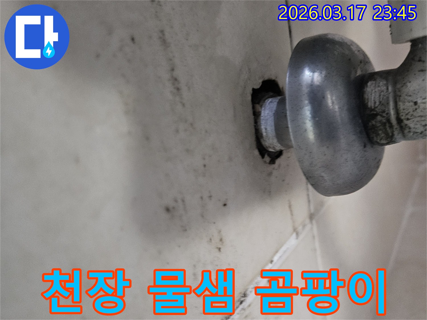배관 연결 부위에서 시작된 누수-천장으로 번진 곰팡이 흔적입니다