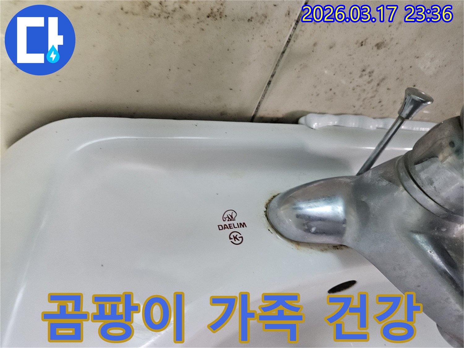 세면대 뒤편 벽에- 심각하게 번식한 곰팡이가- 가족 건강에 위협이 될 수 있음을 보여줍니다
