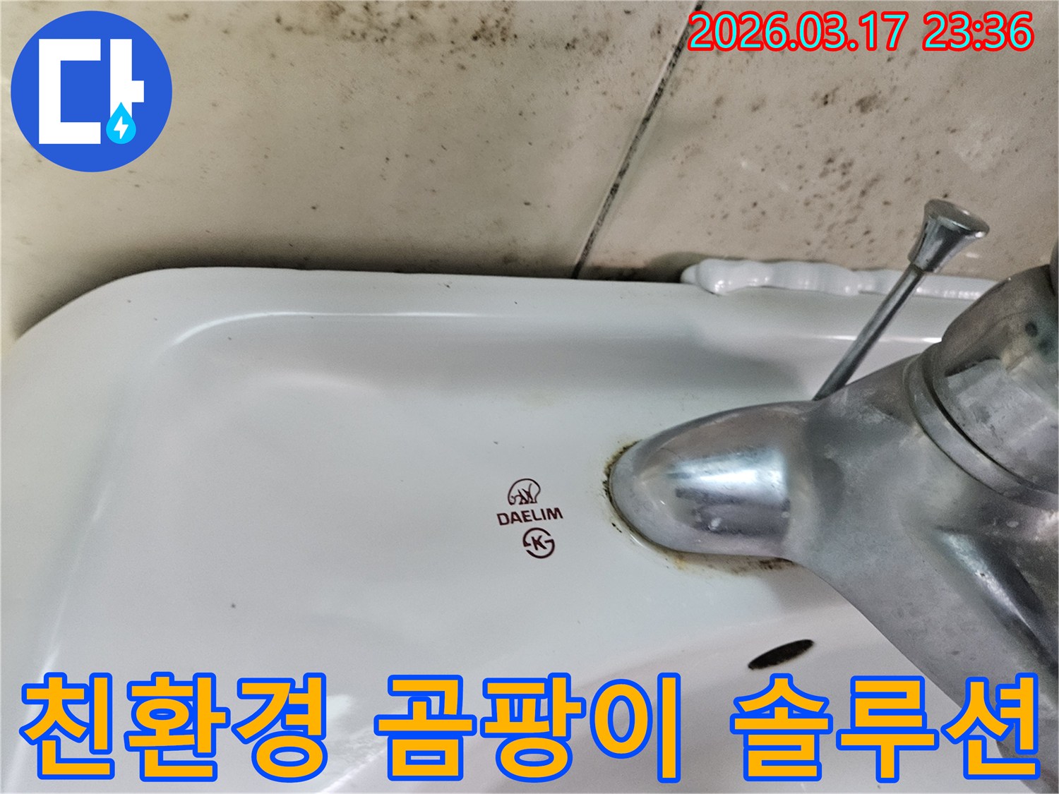 세면대 뒤편 벽에- 심각하게 번식한 곰팡이가- 친환경적인 방법으로- 제거되고 방지되어야 함을 보여줍니다