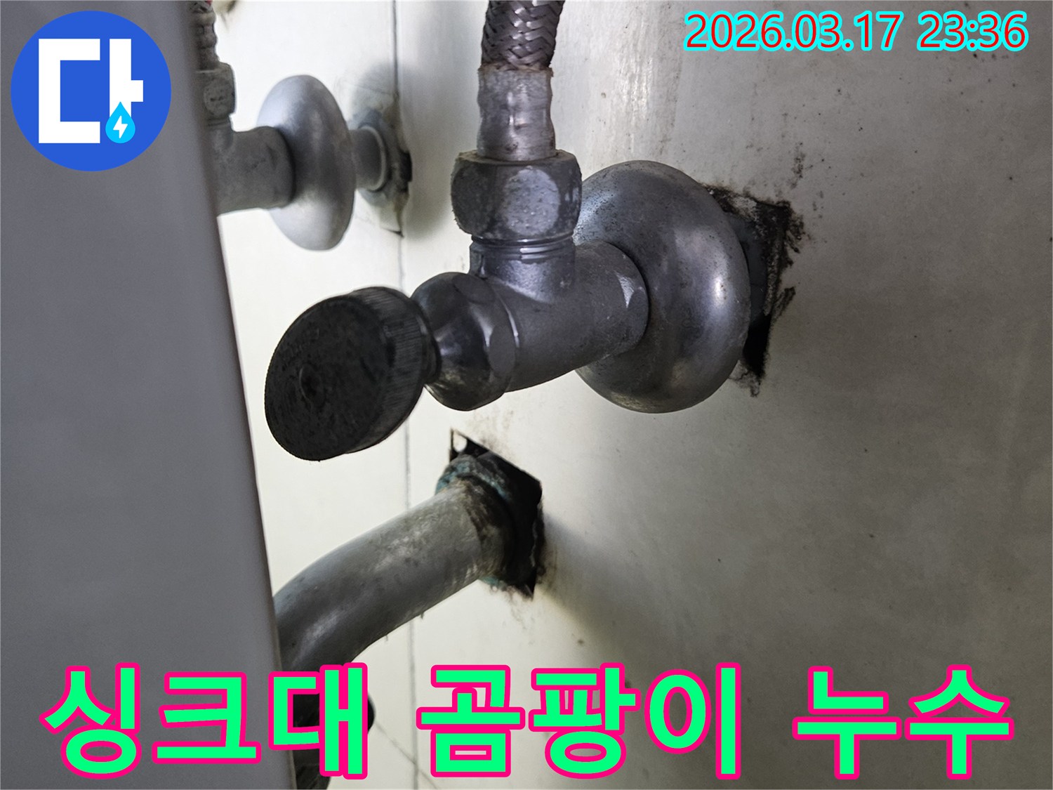 싱크대 하부의 배관 누수로 인해-곰팡이가 발생하고 있는-위생 불량 현장입니다.