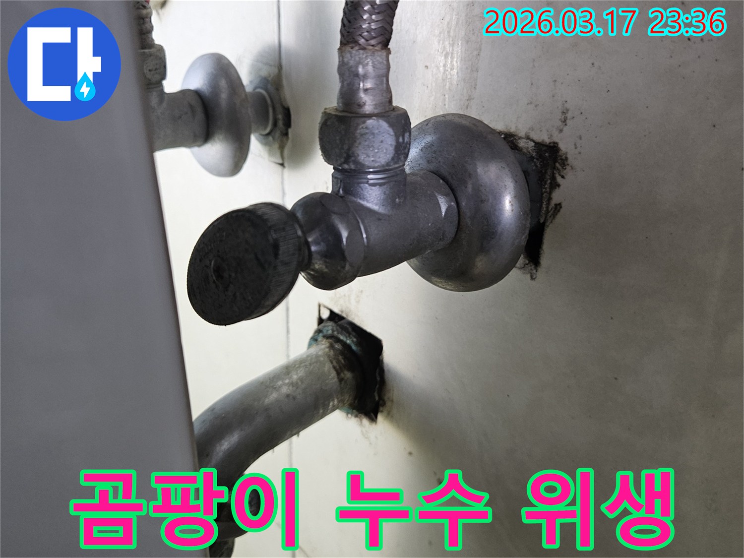 싱크대 하부의 배관 주변에-누수로 인해 발생한-검은 곰팡이와 오염을-제거하는 현장입니다.