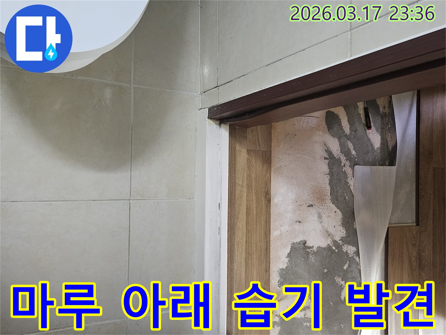 아파트 바닥의-들뜬 마루를 걷어내고-아래 콘크리트에서-발견된 숨겨진-습기 흔적을-보여주는 모습