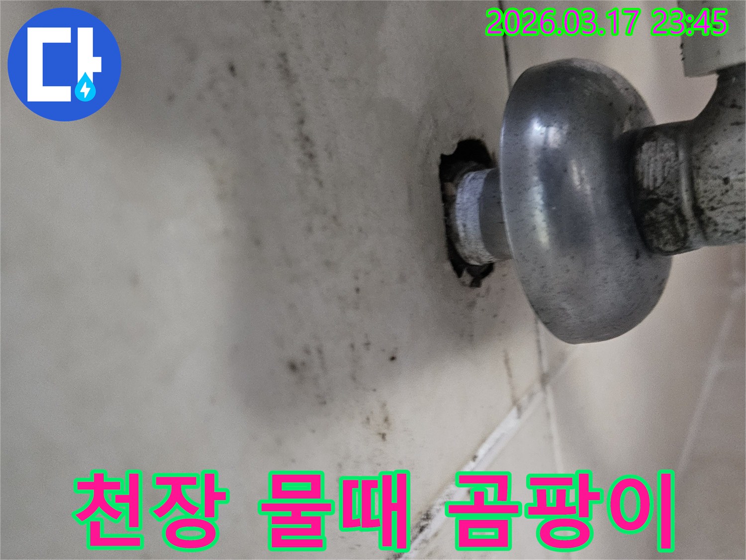 오랜 시간 지속된 누수로 인해-천장 마감재가 손상되고 곰팡이가 번식했습니다
