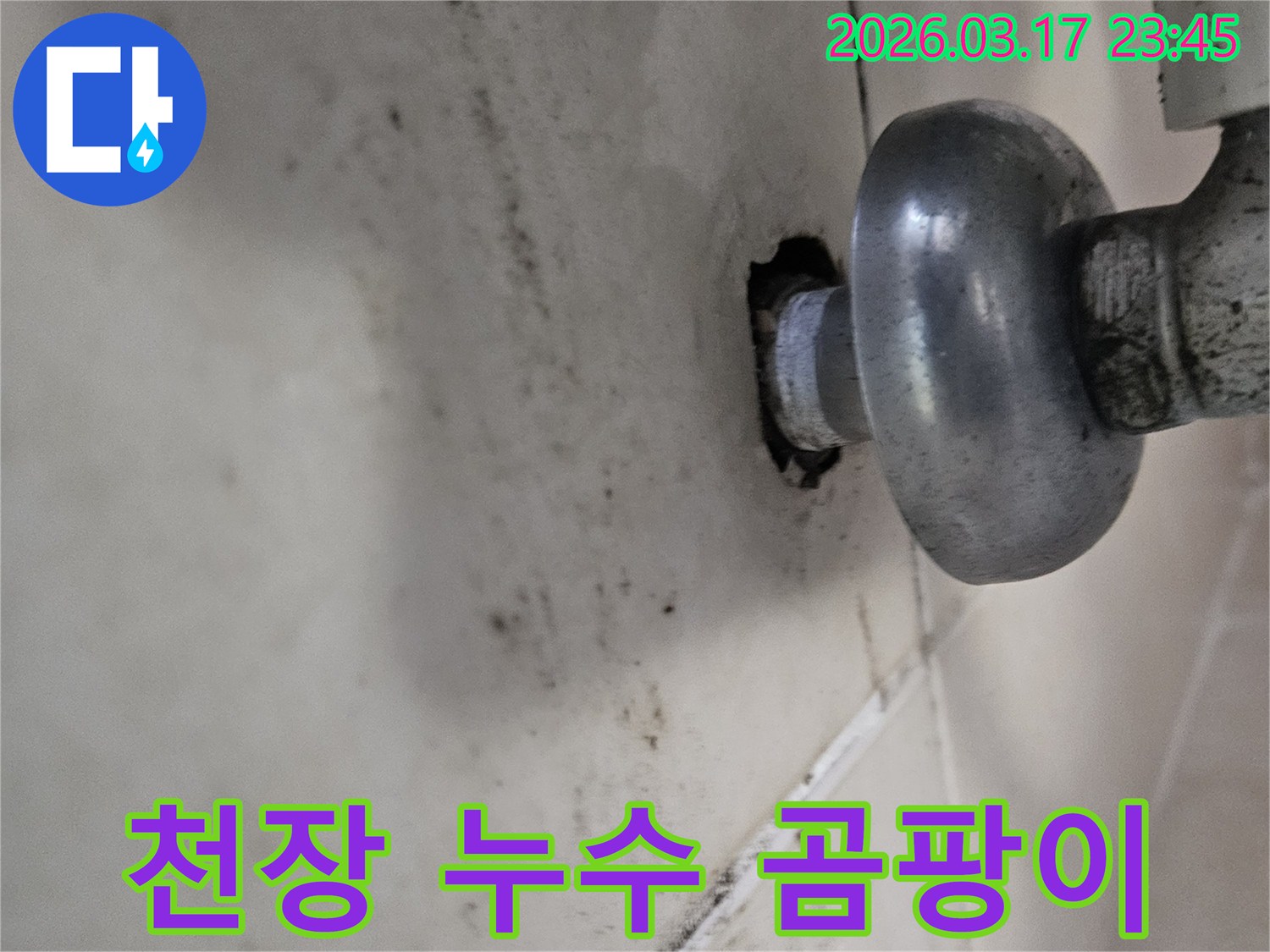 오랜 시간 지속된 누수로 인해-천장 마감재가 손상되고 곰팡이가 번식했습니다