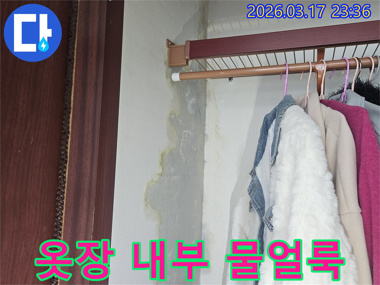 옷장 내부 벽과 바닥에-물이 스며들어-얼룩지고 젖은-누수 현장입니다.