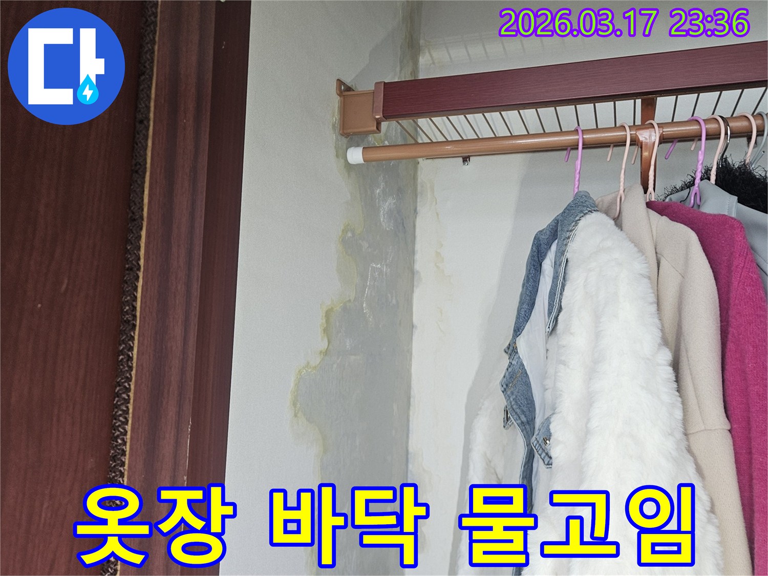 옷장 바닥에 물이 고여-습기와 곰팡이가-우려되는 현장 사진입니다.