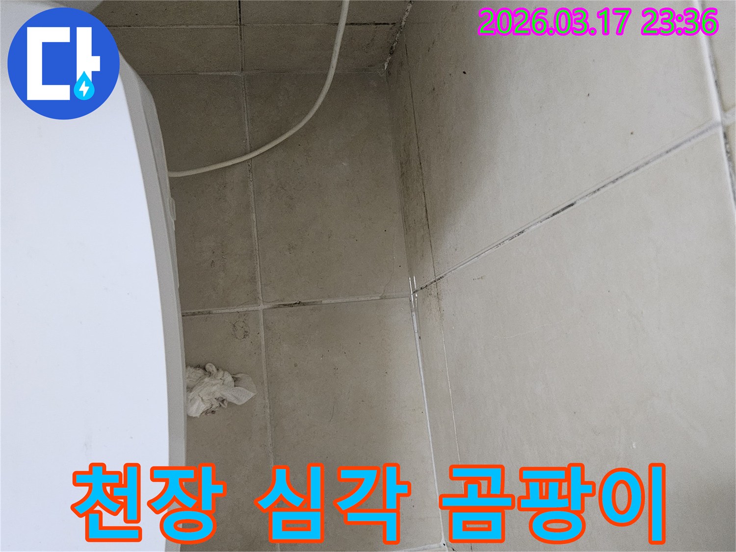 이-사진은-천장-타일의-틈새와-모서리에-발생한-심각한-검은-곰팡이를-보여주며-이는-누수로-인한-지속적인-습기-침투를-의미합니다