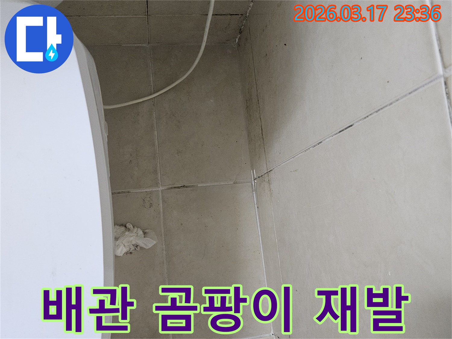 이-이미지는-벽면을-따라-지나가는-흰색-배관-주변에-다시-발생한-검은-곰팡이를-보여주며-이는-기존-보수-후에도-배관-누수가-지속되고-있음을-시사합니다