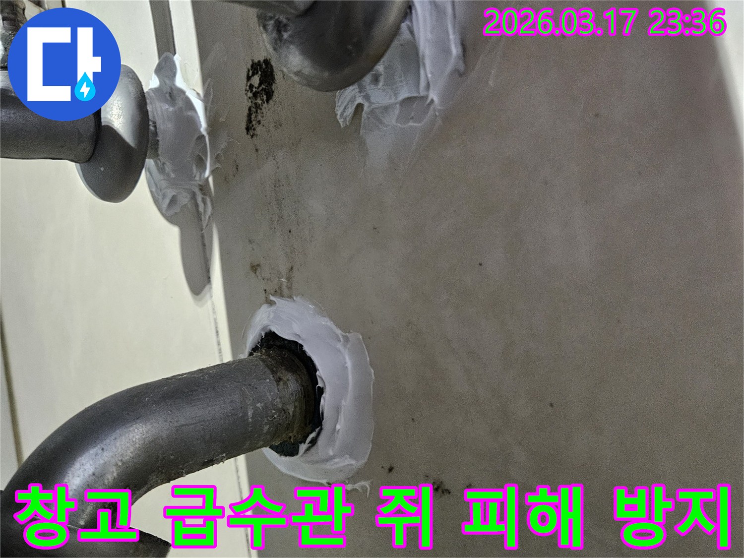 이 이미지는 병점구 빌라 외부 창고 급수관의 쥐 피해로 인한 누수를-특수 보호 방수 실란트로 꼼꼼하게 밀봉하여 방지하는 과정을 보여줍니다-안전하고 견고한 보수입니다.