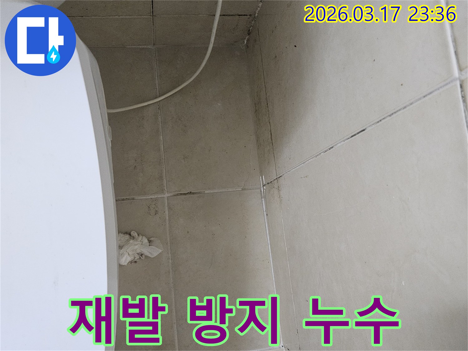 이-이미지는-욕실-천장-타일과-벽면-모서리에-발생한-심각한-곰팡이와-오염을-보여주며-이는-재발-방지를-위한-완벽한-누수-공사가-필요함을-의미합니다