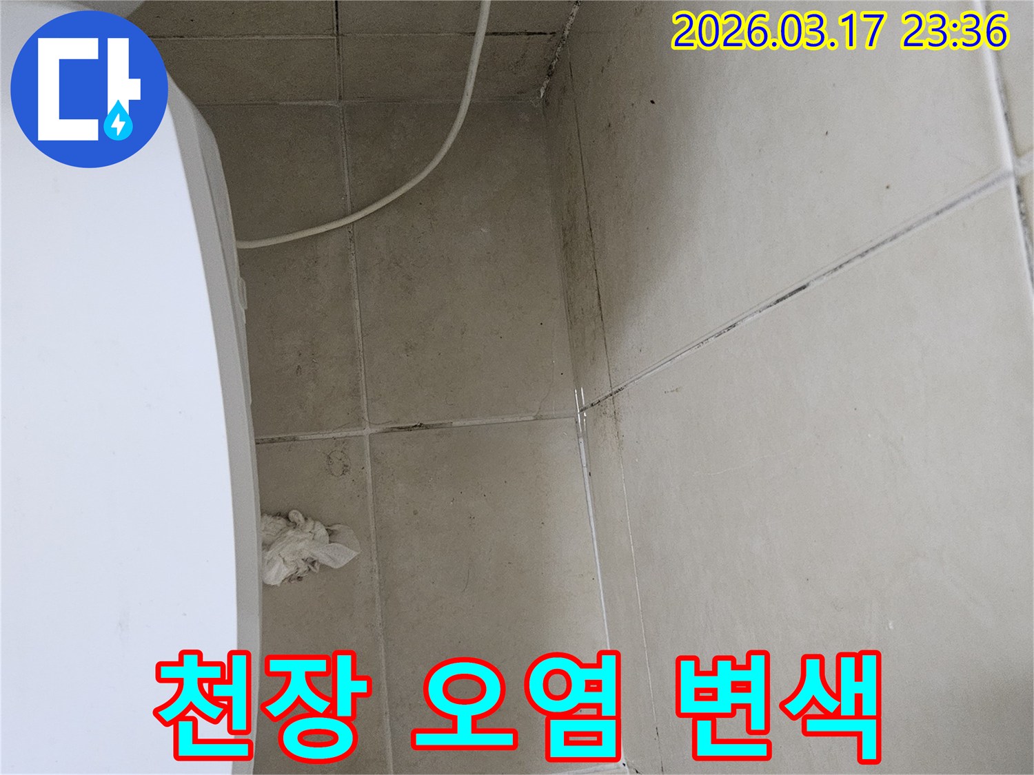 이-이미지는-욕실-천장-타일의-광범위한-오염과-변색-그리고-주변에-번진-곰팡이를-보여주며-이는-누수로-인한-지속적인-피해를-나타냅니다