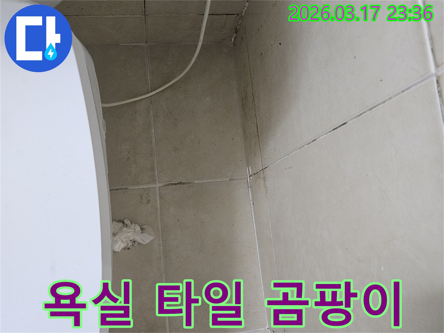 이 이미지는-욕실-천장과-벽면-타일의-모서리-부분에-발생한-심각한-곰팡이와-오염을-보여주며-이는-욕실-누수-가능성을-강하게-시사합니다