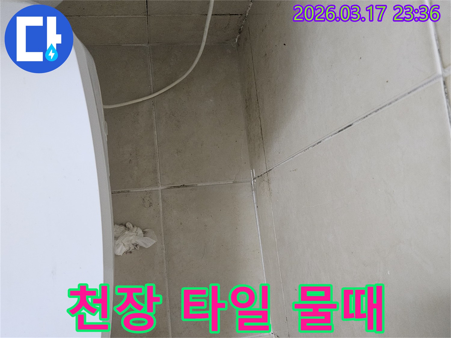 이 이미지는-천장-타일과-벽면-모서리에-발생한-짙은-물때와-곰팡이를-보여주며-이는-누수로-인한-지속적인-물샘-현상을-의미합니다
