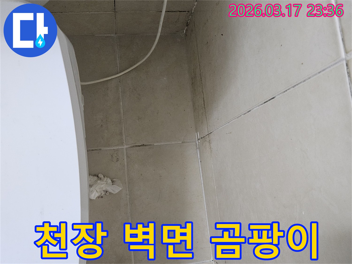 이-이미지는-천장과-벽면-타일의-이음새와-모서리에-발생한-검은-곰팡이를-보여주며-이는-누수로-인한-지속적인-습기-침투를-의미합니다